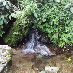 Meet your Posher, Claudio